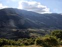IMG_1059 copy